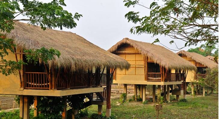 Diphlu Lodge, Kaziranga, Kaziranga 1